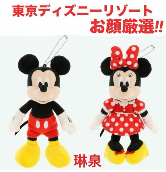 東京ディズニーリゾート　ミッキー ぬいぐるみバッジ ミニー ぬいぐるみバッジ ぬいば ヌイバ ノーマル