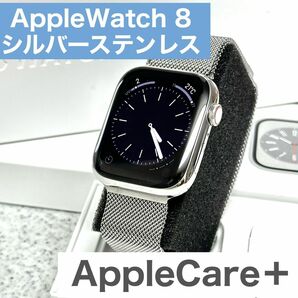 【最終値下げ】Apple Watch Series 8 45mm シルバーステンレス【極美品】