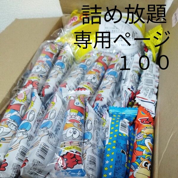 詰め放題【１００size】お菓子＆雑貨セレクト