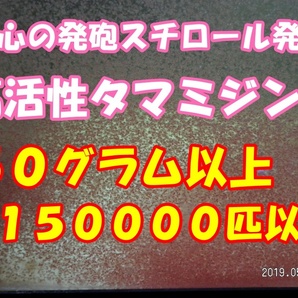 【期間限定】【活・天然タマミジンコ】◆約１５万匹以上・50グラム以上使い切り商品◆ の画像1