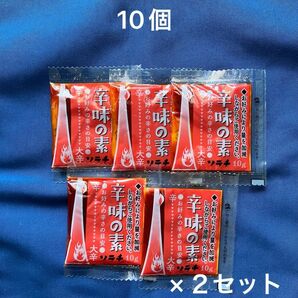 ソラチスープカレー　辛味の素　10個