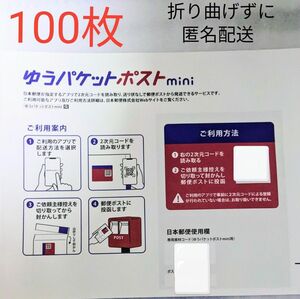 ゆうパケットポストmini 専用封筒 100枚