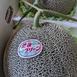 熊本県産【肥後グリーンメロン】1,5前後×2個玉入り一番なりのメロンですのでたいへん美味しいです。の画像2