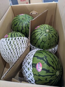  Kumamoto prefecture production 2L[...]4 sphere entering very beautiful taste .. small sphere watermelon therefore please.