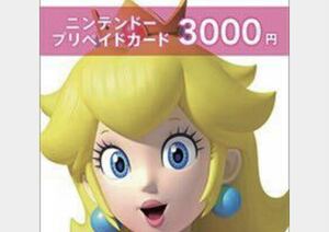  the lowest price beginning! nintendo plipeido3000 jpy minute code notification only / inspection switch Nintendo Mario 