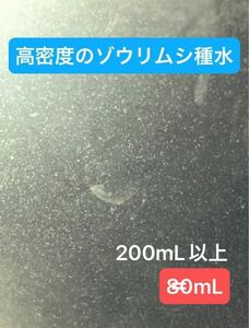 高濃度のゾウリムシ！200mL以上