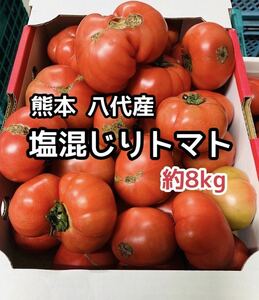 訳あり激安！！ 熊本県産 八代 塩混じりトマト 約8kg程度 ②