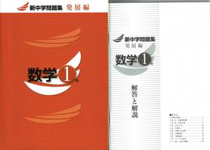 ※新中学問題集　発展編　数学１年生　2021年改訂版　◎教育開発出版