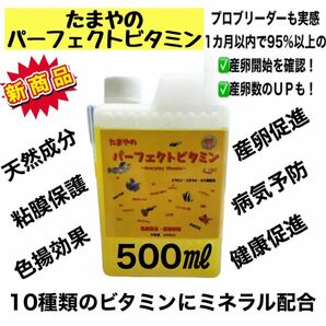 【GMめだか】たまやのパーフェクトビタミン 500ml ※メダカ健康 繁殖 産卵 促進 ミネラル 粘膜保護 病気予防 色揚効果 