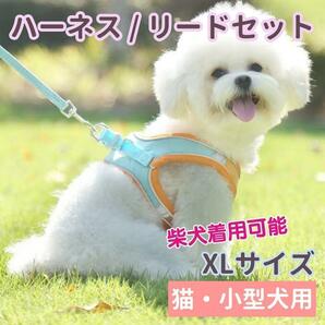 ハーネス リード セット XLサイズ ベスト 犬 猫 オレンジ グリーン 柴犬 光る 中型犬 小型犬 緑 橙 コーギー ビーグル ダックス トイプー