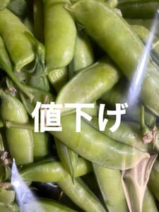 無農薬うすいエンドウ500g