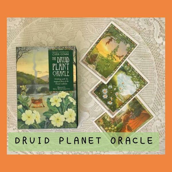 【新品未使用】DRUID PLANET ORACLE　ボタニカルなオラクルカード