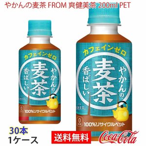 即決 やかんの麦茶 FROM 爽健美茶 200ml PET 1ケース 30本 (ccw-4902102153867-1f)