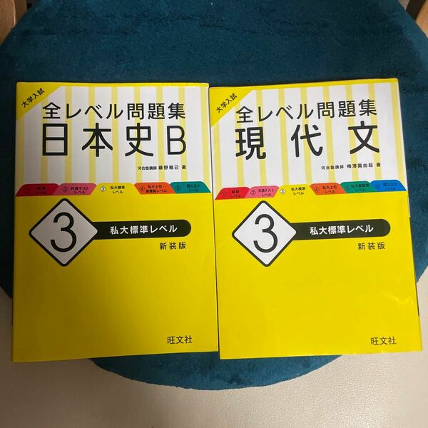 大学入試全レベル問題集日本史Ｂ　現代文　３　新装版 （大学入試） 藤野　雅己　著　私大標準レベル