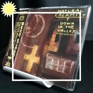 【なごみ・癒やし系の金字塔★貴重な初回盤】◆NATURAL CALAMITY（ナチュラル・カラミティ）「DOWN IN THE VALLEY」(1991) ◆ 帯付き国内盤