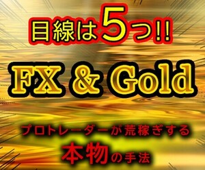 FX 専業トレーダーのFX・ゴールド裁量手法お教えします！ FX初心者～PCまたはスマホでシンプルスキャルトレード手法