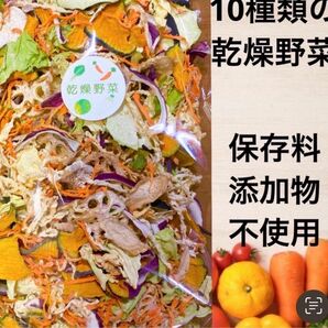 10種類の乾燥野菜　時短料理　簡単　便利　栄養満点　100g×2袋