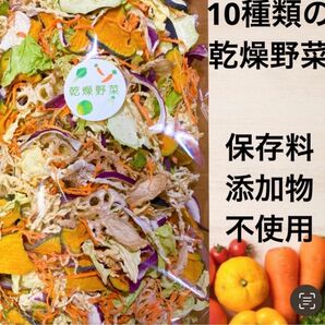 お得！！10種類の乾燥野菜　100g×５袋　オマケ＋１袋　