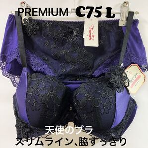 C75 トリンププレミアム レッドレーベル 0075 ブラジャー &ショーツ