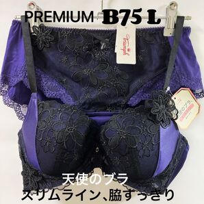 B75 トリンププレミアム レッドレーベル 0075 ブラジャー &ショーツ