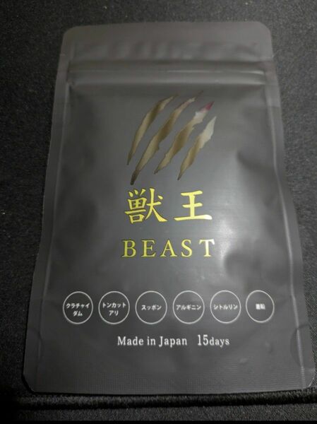 獣王beast