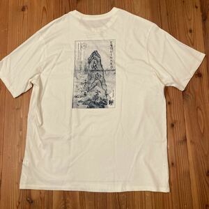 キレイ! Patagonia TGPIWクリーンクライム プリント Tee ホワイト L パタゴニア the great pacific iron works 水墨画　Tシャツ 