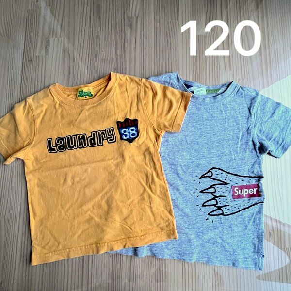 ランドリー シシュノン 120 Tシャツ 男の子 ロゴ 恐竜 怪獣 まとめ売り