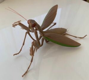 カマキリ　カプセルトイ　ガチャガチャ