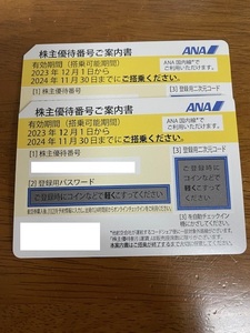 ANA 全日空 株主優待券　2枚セット 有効期限2024年11月30日