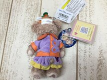 ◇ディズニー TDS ダッフィー シェリーメイ ぬいぐるみバッジ 2点 ハロウィン2010 タグ付き 6P9 【60】_画像3