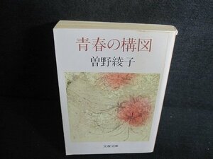 青春の構図　曽野綾子　カバー破れ有・シミ大・日焼け強/UEN