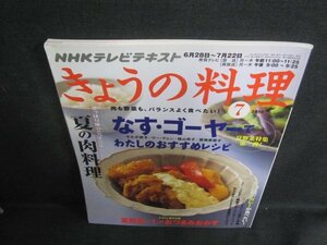 きょうの料理　2010.7　なす・ゴーヤー　日焼け有/VAE