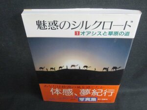 魅惑のシルクロード1　オアシスと草原の道　シミ日焼け有/VAT