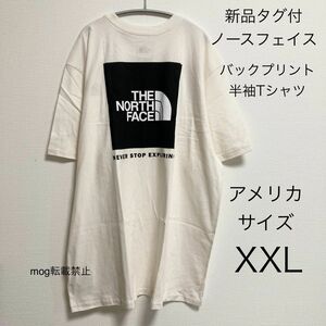 THE NORTH FACE 新品タグ付【アメリカサイズ　XXL 大きいサイズ】ノースフェイス　半袖プリントT