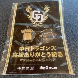 中日ドラゴンズ 限定ピンバッジ