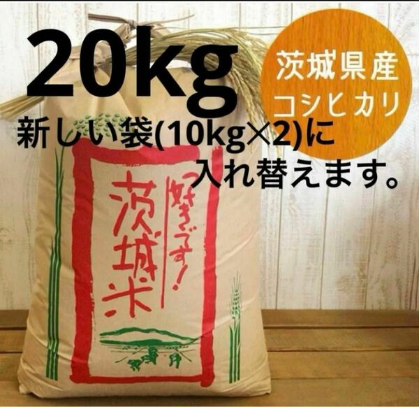 コシヒカリ 20kg 古米(令和4年) 玄米