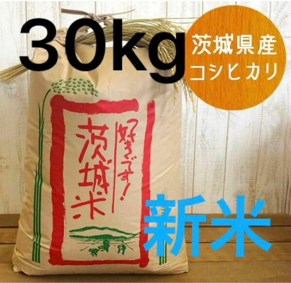 【新米】コシヒカリ 30kg 玄米 茨城県産 