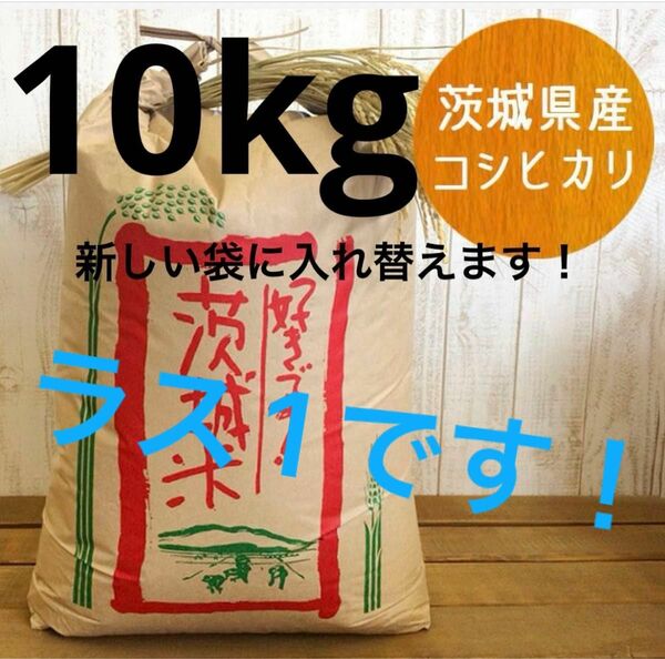 コシヒカリ 10kg 古米（令和4年）玄米