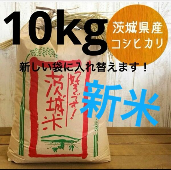 【新米】コシヒカリ 10kg 茨城県産 玄米 