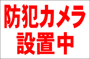 お手軽看板「防犯カメラ設置中」大判・屋外可