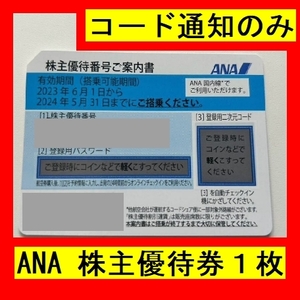 【即日対応（コード通知のみ）】ANA株主優待券　2024年5月31日搭乗まで有効　送料無料