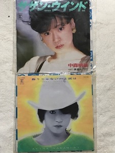 中森明菜★サザンウインド★飾りじゃないのよ涙は★２枚