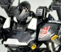 MG 1/00 KAMPFER SCHWER ケンプファー・シュヴェーア改修塗装済み完成品_画像7