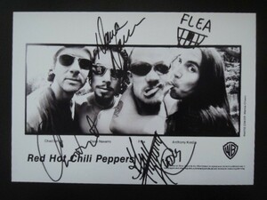 A4 額付き ポスター レッドホットチリペッパーズ Red Hot Chili Peppers レッチリ アート 額装済み フォトフレーム 