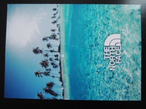 A4 額付き ポスター HAWAII ノース 海 ヤシの木 トロピカル 写真 SURF 太陽 アロハ 波 フォトフレーム 