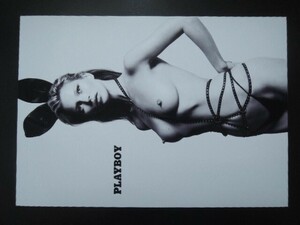 A4 額付き ポスター ケイトモス Kate Moss バニーガール 写真 ファッション アート 