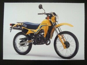 A4 額付き ポスター TS50 ハスラー SUZUKI スズキ HUSTLER 水冷 単気筒 2スト オフロード 原付 50cc バイク 