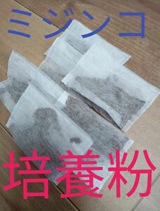 ミジンコ培養粉６Ｐ！