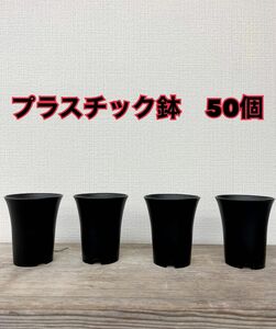 新品　ブラック植木鉢　プラスチック　50個　多肉鉢　Agave鉢　グラキリス　