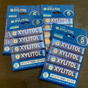  Lotte xylitol gum fresh mint grain gum 14 bead 5 piece insertion 4 pack set xylitol 